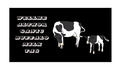 wellhealthorganic buffalo milk tag